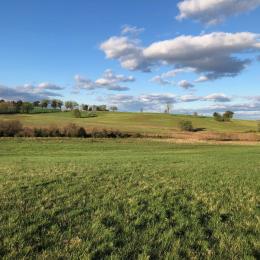 Brandy Station, Culpeper County, Va.