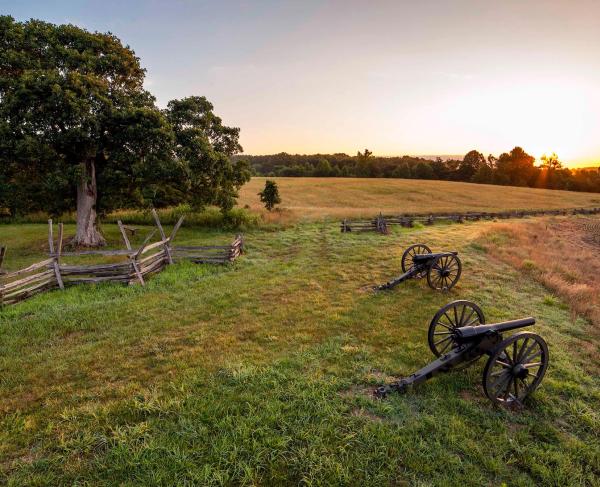 Cannons and a split-rail fence on the Cedar Mountain Battlefield