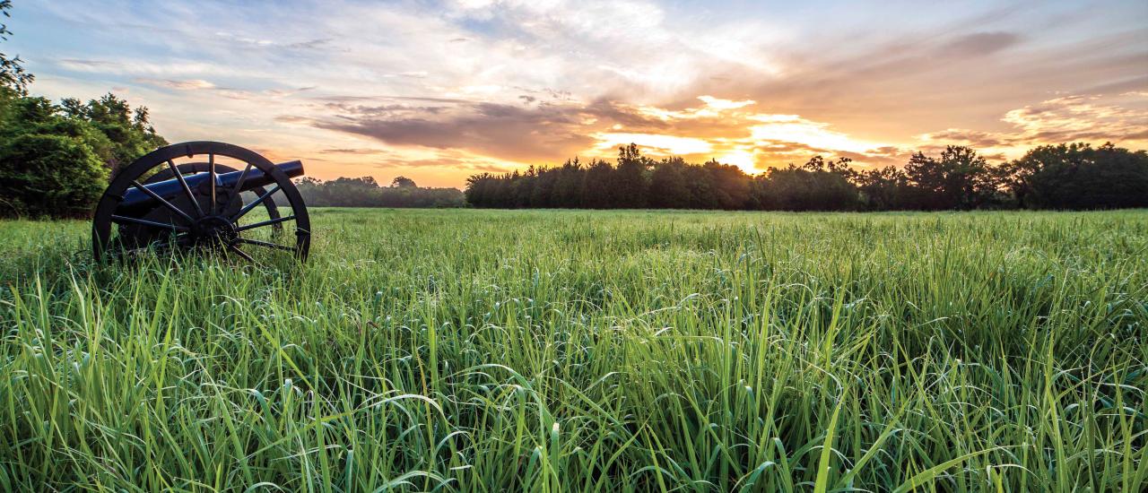 Cannon in a field of long grass with a pretty sunrise