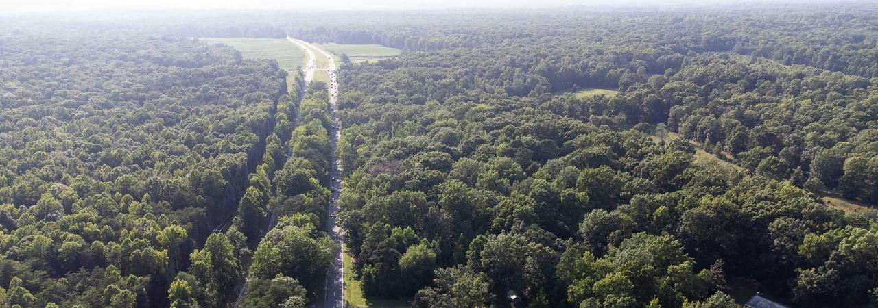 Chancellorsville Battlefield,  Fredericksburg & Spotsylvania National Military Park, Va.