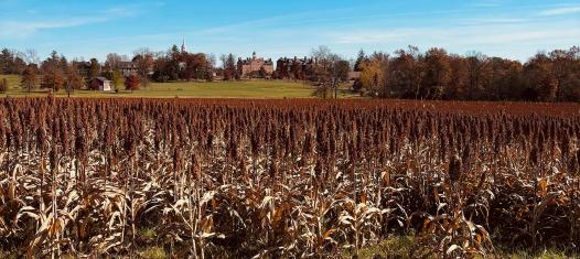 Seminary Ridge, Gettysburg National Military Park, Pa.