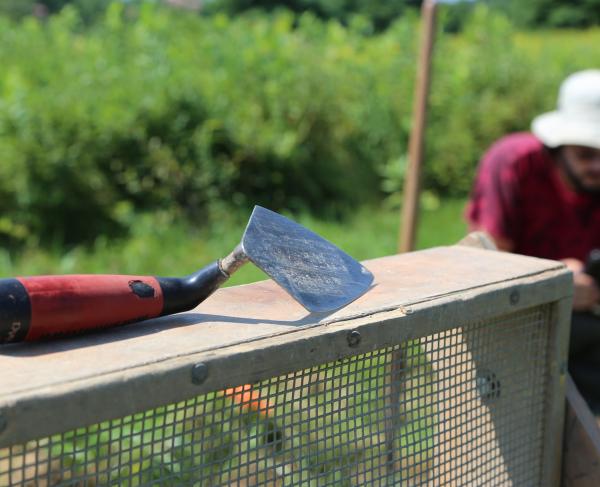 Photograph of a trowel at Saratoga Battlefield with an archaeologist