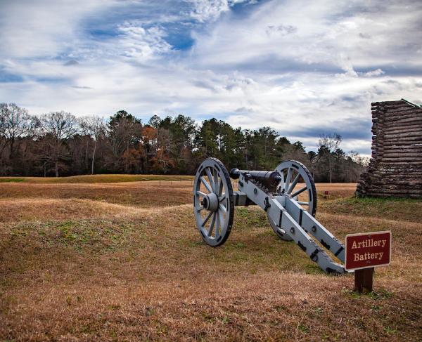 Ninety Six Cannon & Star Fort