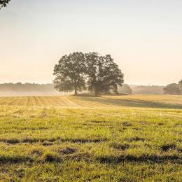 A photo of the Petersburg Breakthrough Battlefield