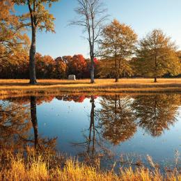 The Bloody Pond at Shiloh National Military Park, Tenn.