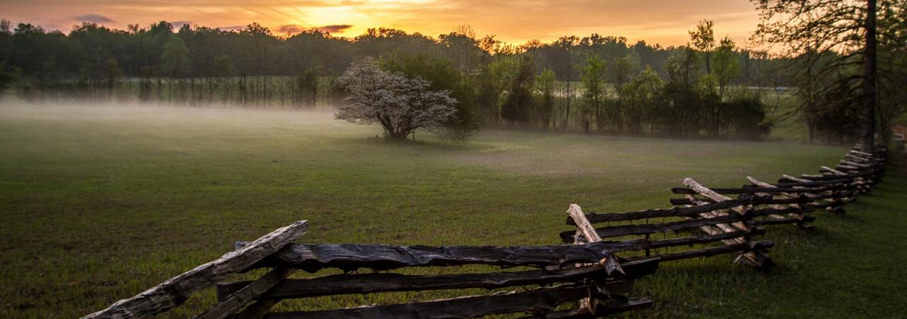 Shiloh National Military Park, Tenn.