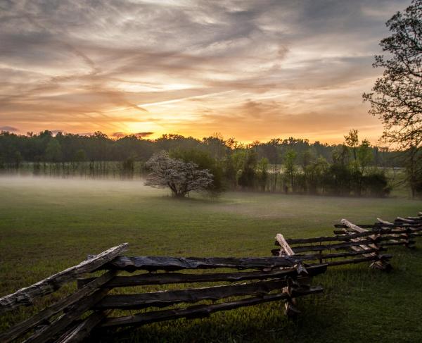 Shiloh National Military Park, Tenn.