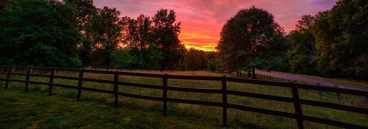 The Wilderness, Spotsylvania and Orange Counties, Va.